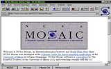 Второй важный этап в развитии интернета – создание первого браузера Mosaic. Сочетание двух технологий (удобного пользовательского интерфейса и веб-протокола) стало отправной точкой для распространения интернета по всему миру.