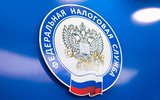 В ведение ФНС входит контроль и надзор за соблюдением на территории России налогового законодательства, а также смежных с ним отраслей трудового законодательства