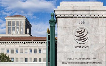 Фактическое вступление России в ВТО