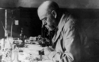 Открытие палочки Коха