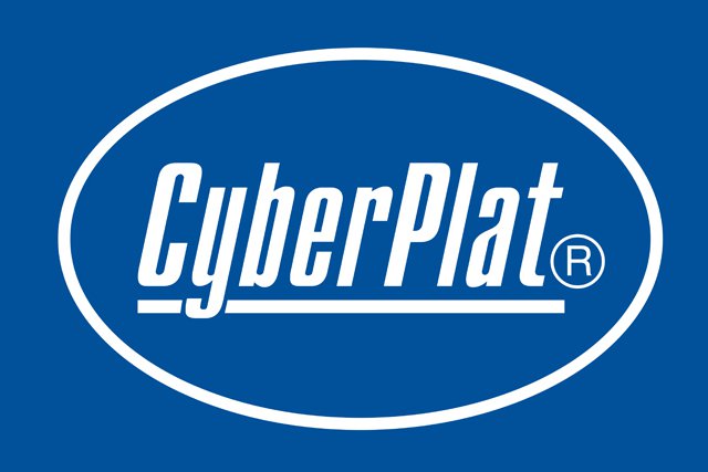 Россия занимает первое место в Европе по распространённости мобильных платежей